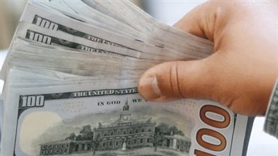 سعر الدولار في البنك المركزي المصري اليوم 29_9_2024