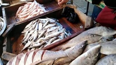  أسعار الأسماك والجمبري اليوم الأحد 29 سبتمبر 2024