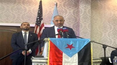 من قلب ولاية ميتشيجن الامريكية.. كيف رسمت لوحة مظاهر التلاحم الاجتماعي والسياسي لأبناء الجنوب في المهجر؟