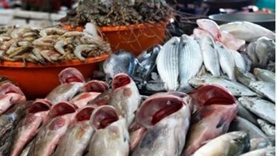 سعر السمك البلطي اليوم الإثنين 30_9_2024