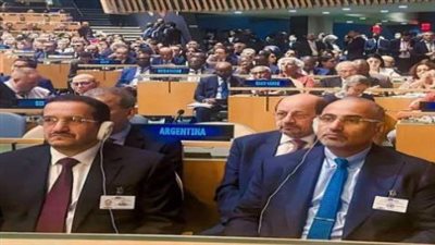 منها استعراض القضايا التي تهم الجنوب.. ما وراء مشاركة 