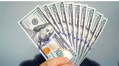 سعر الدولار في البنك المركزي المصري اليوم 2_10_2024