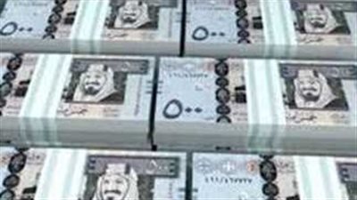 سعر الريال السعودي اليوم الأربعاء 2_10_2024 في البنك المركزي المصري