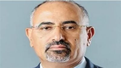 حضور متميز في اجتماعات الأمم المتحدة.. كيف تمكن الزبيدي من توضيح موقف المجلس الانتقالي وتأكيد الثوابت الوطنية؟