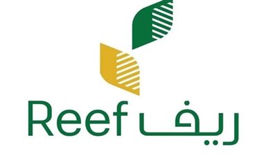  خطوات تسجيل الدخول إلى بوابة ريف الإلكترونية.. وموعد صرف دعم ريف أكتوبر 2024