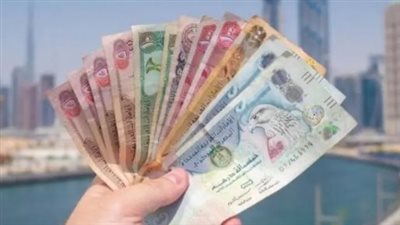 سعر الدرهم الإماراتي في البنك المركزي المصري اليوم 9_10_2024