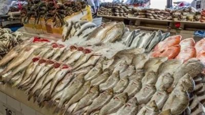  أسعار الأسماك والجمبري اليوم الأربعاء 9 أكتوبر 2024 داخل سوق العبور لتجارة الجملة