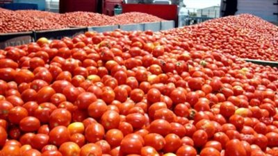 أسعار الخضروات والفاكهة اليوم الأربعاء 9_10_2024.. الطماطم بكام؟