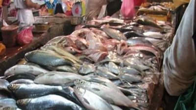 سعر السمك البلطي اليوم الخميس 10_10_2024