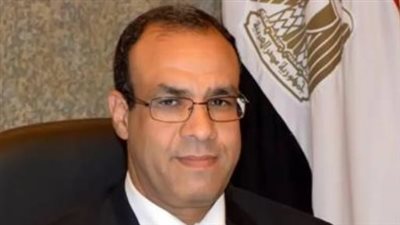 وزير الخارجية: مسألة المياه وجودية بالنسبة لمصر