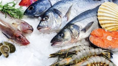 داخل سوق العبور.. أسعار الأسماك والجمبري اليوم الثلاثاء 15 أكتوبر 2024