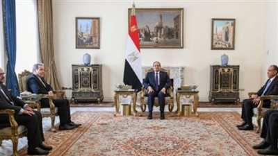 الرئيس عبدالفتاح السيسى يستقبل وزير الخارجية الإيرانى عباس عراقجى