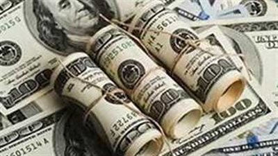 سعر الدولار في البنك المركزي المصري اليوم السبت 19_10_2024