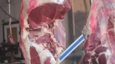 أسعار اللحوم في الأسواق اليوم السبت 19_10_2024