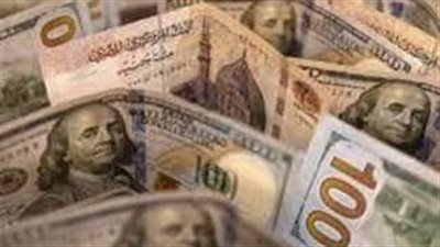  سعر الدولار في البنك المركزي المصري اليوم الأحد 20_10_2024