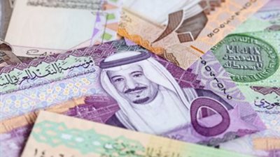 سعر الريال السعودي في البنك المركزي المصري 21_10_2024