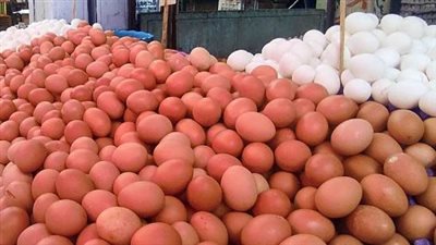 أسعار البيض اليوم 21_10_2024.. كرتونة البيض الأحمر بكام؟