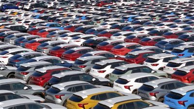 الحكومة المصرية يكشف حقيقة خفض 