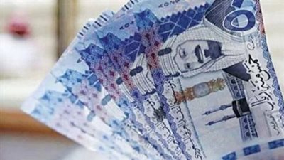 سعر الريال السعودي مقابل الجنيه المصري في السوق السوداء اليوم الثلاثاء 22_10_2024