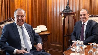 وزير الخارجية المصري يلتقى نظيره الروسى على هامش قمة مجموعة بريكس