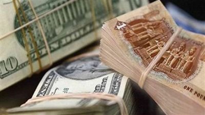 سعر الدولار اليوم في البنك المركزي المصري اليوم 24_10_2024