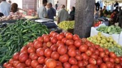  أسعار الخضروات اليوم السبت 26 أكتوبر 2024