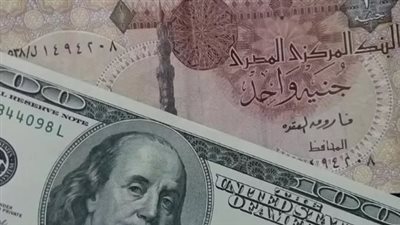 هل سيتم تعويم الجنيه المصري مرة أخرى 2024؟.. أستاذ اقتصاد بجامعة عين شمس يوضح