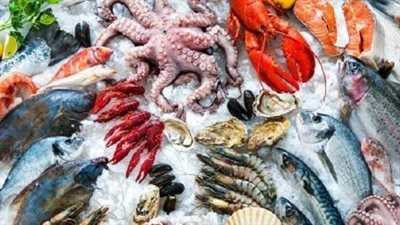 أسعار الأسماك والجمبري بالتعاملات الصباحية اليوم الأحد 27 أكتوبر 2024