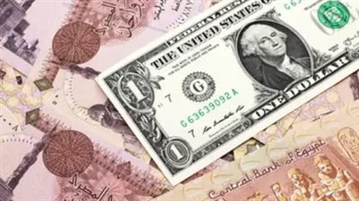 سعر الدولار في بنوك مصر اليوم 27_10_ 2024