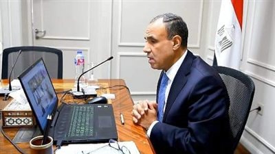 وزير الخارجية يعقد لقاء افتراضيًا مع ممثلي الجالية المصرية في قطر