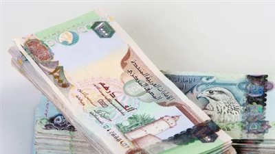 سعر الدرهم الإماراتي في البنك المركزي المصري اليوم 28_10_2024