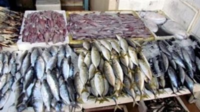  أسعار الأسماك والجمبري اليوم 28_10_2024