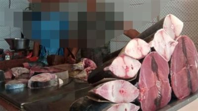 أسعار الأسماك اليوم الإثنين 28_10_2024 فى العاصمة عدن 