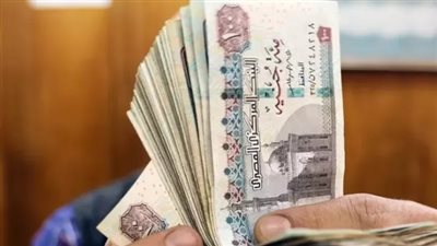 موعد صرف معاشات شهر نوفمبر 2024.. رابط الهيئة