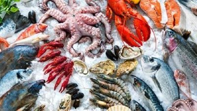 أسعار الأسماك والجمبري اليوم الثلاثاء 29 أكتوبر 2024.. السمك البلطي الكبير 82 و84 جنيهًا للكيلو