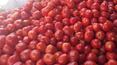  سعر كيلو الطماطم اليوم الثلاثاء 29_10_2024.. الفاكهة بكا؟