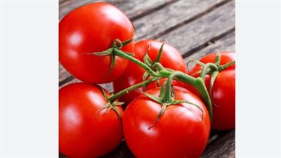 سعر كيلو الطماطم اليوم الاربعاء 30_10_2024