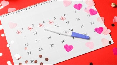 متى يحدث الحمل بعد الدورة الشهرية.. كلمة السر في موعد التبويض