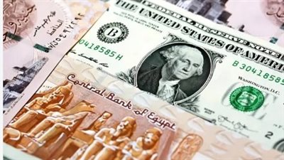 سعر الدولار اليوم في البنك المركزي المصري اليوم 31_10_2024