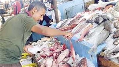أسعار الأسماك والجمبري اليوم الخميس 31 أكتوبر 2024 في سوق العبور
