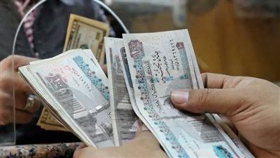 رابط الاستعلام عن معاشات شهر نوفمبر 2024