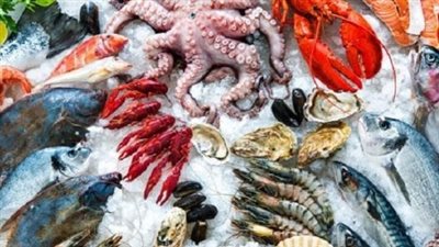 أسعار الأسماك والجمبري اليوم السبت 2 نوفمبر 2024