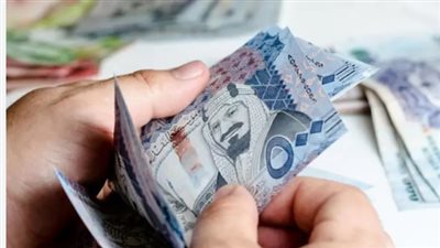 سعر الريال السعودي مقابل الجنيه المصري في السوق السوداء اليوم 2_11_2024