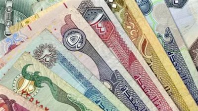 سعر الدرهم الإماراتي في البنك المركزي المصري اليوم السبت 2_11_2024