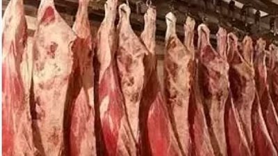 أسعار اللحوم البلدي في مصر اليوم السبت 2 نوفمبر 2024 في المنافذ الحكومية المختلفة