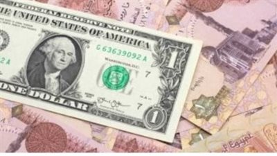 سعر الدولار اليوم في البنك المركزي المصري اليوم 4_11_2024