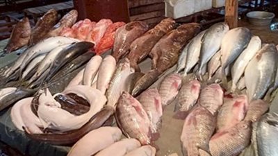 أسعار السمك والجمبري اليوم الاثنين 4 نوفمبر 2024.. السمك الفيليه بكام؟