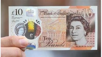 سعر الجنيه الإسترليني في البنك المركزي المصري اليوم 5_11_2024