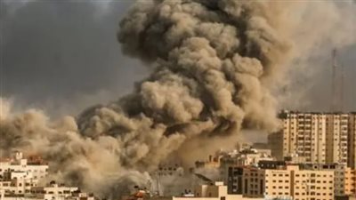 وزير خارجية هولندا يشيد بجهود مصر للتوصل إلى وقف إطلاق النار في غزة