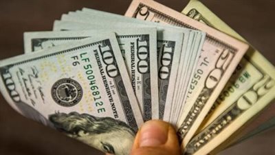 سعر الدولار في البنك المركزي المصري اليوم الأحد 3 نوفمبر 2024